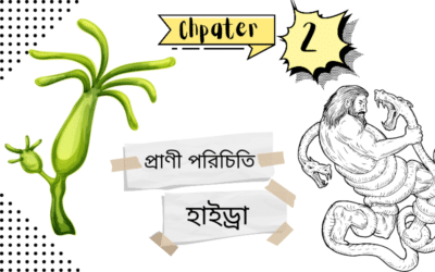 অধ্যায়ঃ ২ ( প্রাণীর পরিচিতিঃ হাইড্রা )